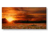PANORAMA Τοπιογραφία τοίχου Έκπτωση 60% 50X100 cm
